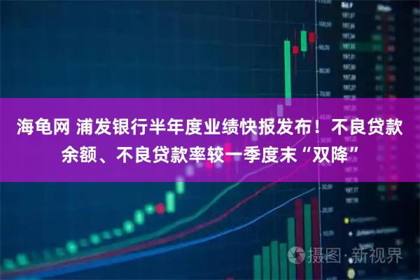 海龟网 浦发银行半年度业绩快报发布！不良贷款余额、不良贷款率较一季度末“双降”