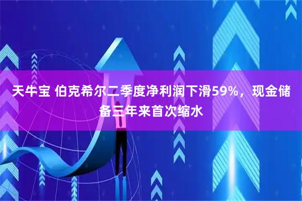 天牛宝 伯克希尔二季度净利润下滑59%，现金储备三年来首次缩水