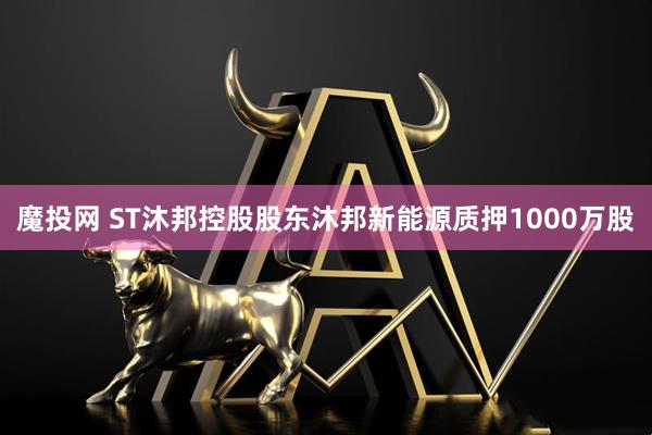 魔投网 ST沐邦控股股东沐邦新能源质押1000万股