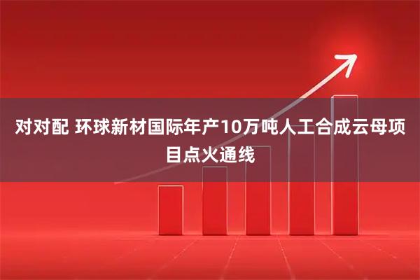 对对配 环球新材国际年产10万吨人工合成云母项目点火通线