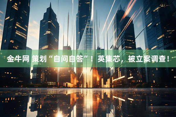 金牛网 策划“自问自答”！英集芯，被立案调查！