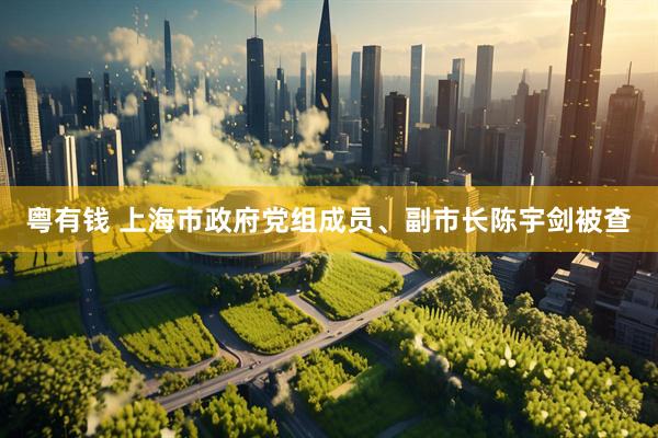 粤有钱 上海市政府党组成员、副市长陈宇剑被查
