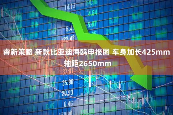 睿新策略 新款比亚迪海鸥申报图 车身加长425mm 轴距2650mm